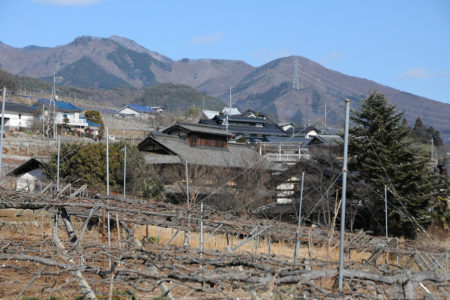 The Miyazawa house