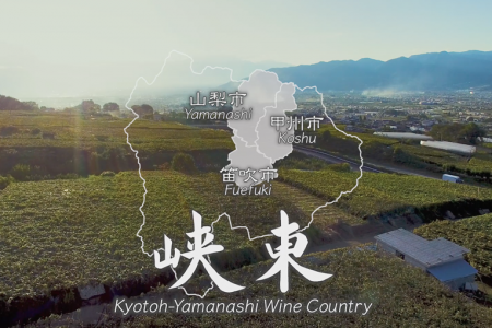 A Journey of Spectacular Vineyard Views【Movie】