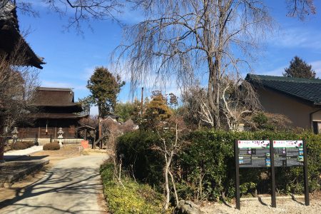 Story of Seihaku-ji Temple : A Temple Floating Amongst Vineyards